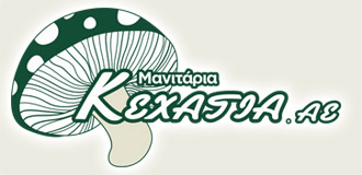 KexagiasLogo