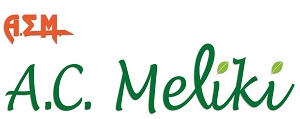 LOGO300x119